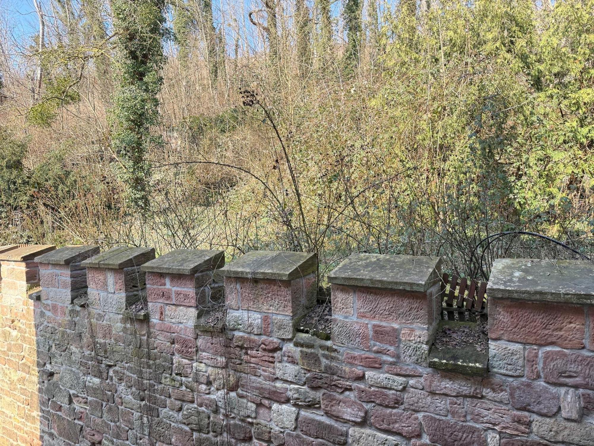 Schloss Zingst Appartement *